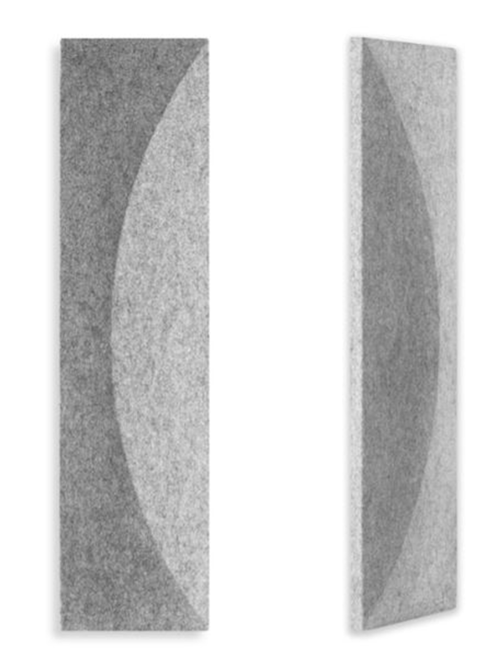 Reborn acoustic wall and ceiling panels installed in modern office interior